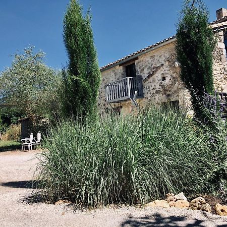 Le Gite De La Maison Des Chats - Gite En Quercy Saint-Amans-du-Pech Ngoại thất bức ảnh